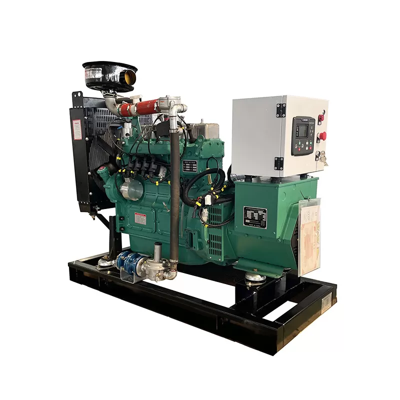 20kW 25kVA Natural Gas Generator Set